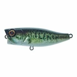 Illex - Chubby Popper 42 - RT Biwako Bass