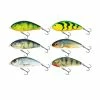 Salmo - Fatso Floating 10cm